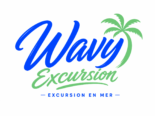 Wavy Excursion